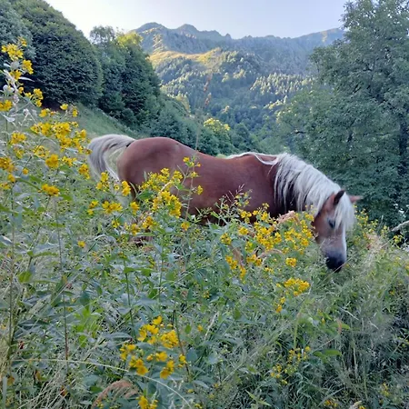 Apartmán Il Castagno - Free Parking & Free Wi-fi Vista Montagna Boves